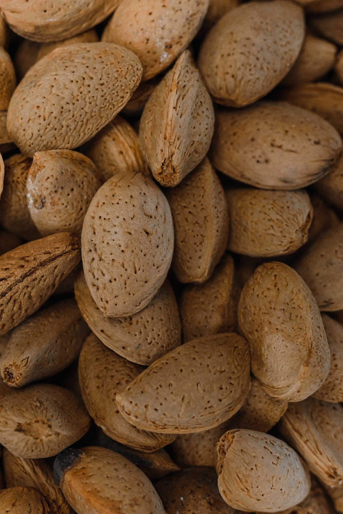Amandes